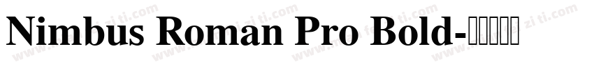 Nimbus Roman Pro Bold字体转换